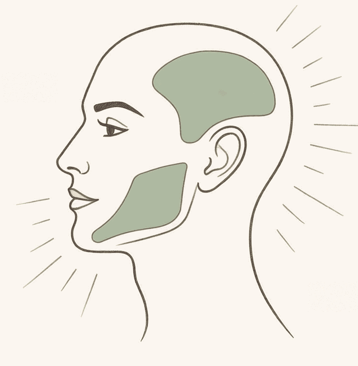 Head in profile with the temporal muscle above the temple and the chewing muscle at cheek and jaw angle highlighted - the two muscles that hurt when the jaw is tense