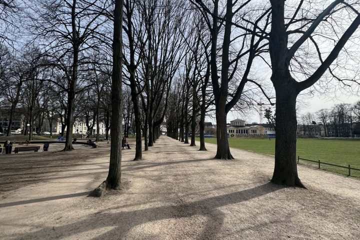 Kieferorthopaede cologne - JUST KFO - Dr. Steinmaier + Kollegen - GBO Kongress Bonn
